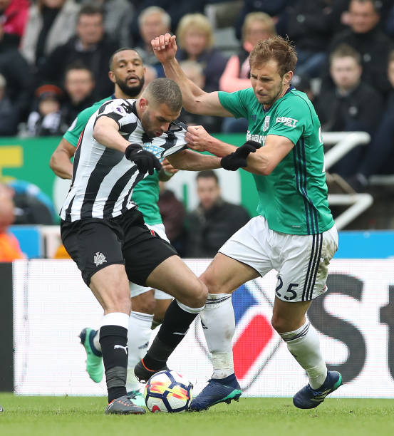 增添了更多 增添了更多